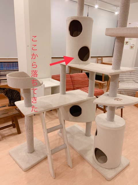 A73488D7-930C-4C90-8703-552648535449