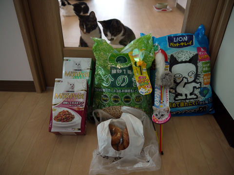 猫式ブログ～里親募集型猫カフェ