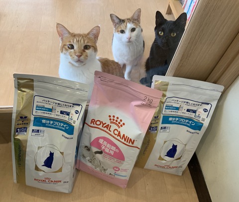 AF6055A6-6E94-4BEB-ADCB-76DE0542FF4D