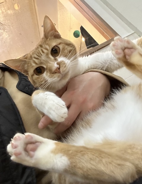 66DD5425-3E2E-401D-A49B-5046E2F56091