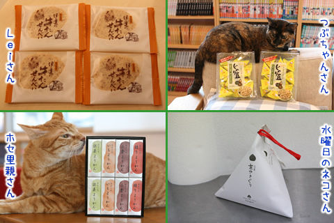 猫式ブログ~里親募集型猫カフェ