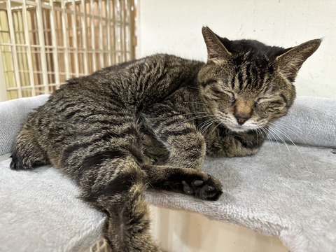 61767086-C01B-4468-9072-77D3A429F739