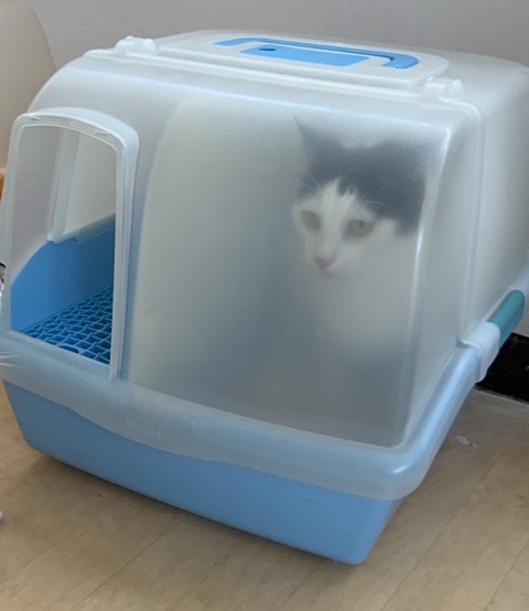 C93B3A31-2A07-42BE-8066-F536474690DF