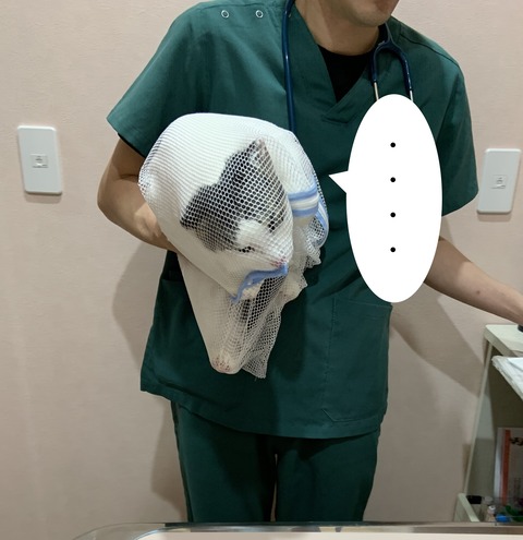 AB30931D-8417-4B6F-89A1-B278627B47DB