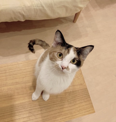 88AC163C-A3A5-4D69-AA0E-1AD3AA80D808