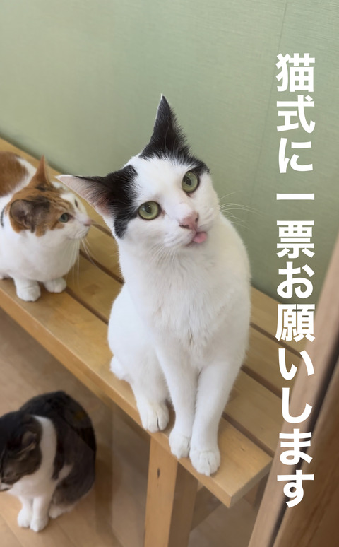 71ADBF0A-5FAD-4701-9D04-6DC775AA331F