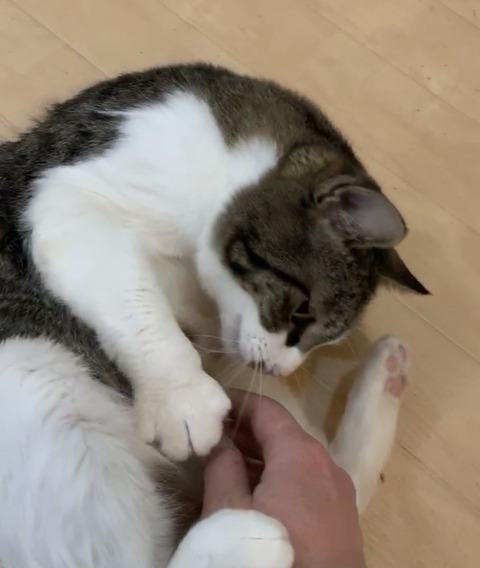 E741F687-1AA0-4273-8EB4-3C0B3C4B2B6B