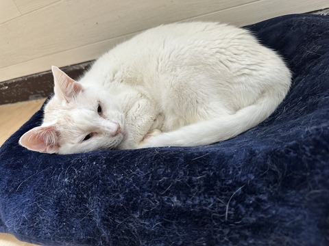 852B7FBA-19F4-4409-BBB4-7B8E88BE5E37