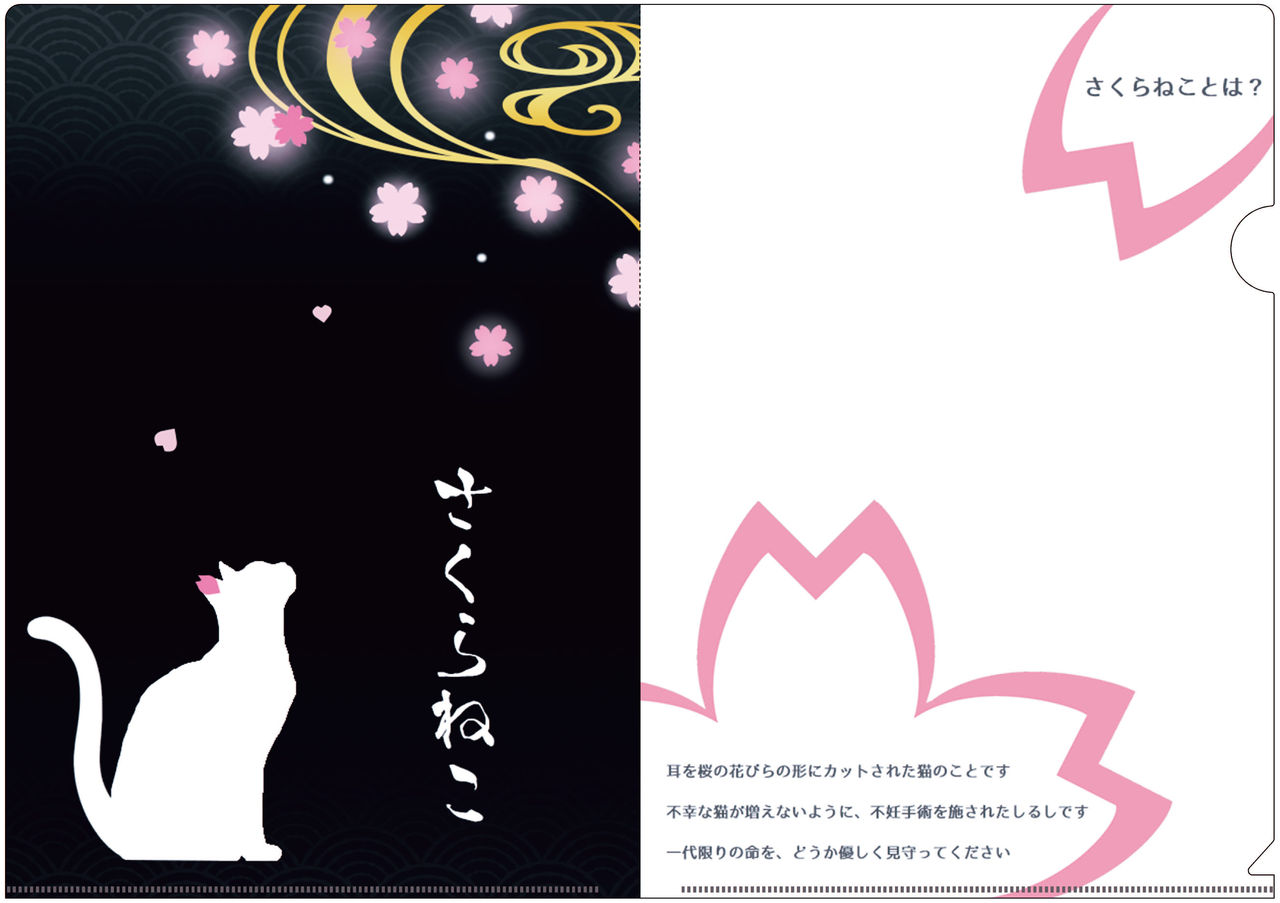 さくらねこ　クリアファイル