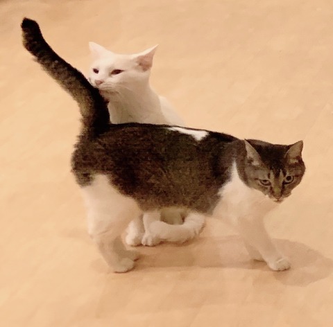 D74CE17A-0920-4563-9B7D-820610C42CB1