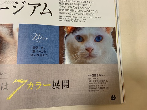 0439234C-66F1-4A14-965E-381972DB432F