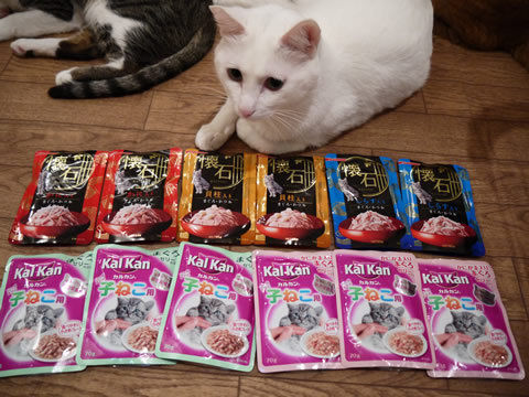 猫式ブログ~里親募集型猫カフェ