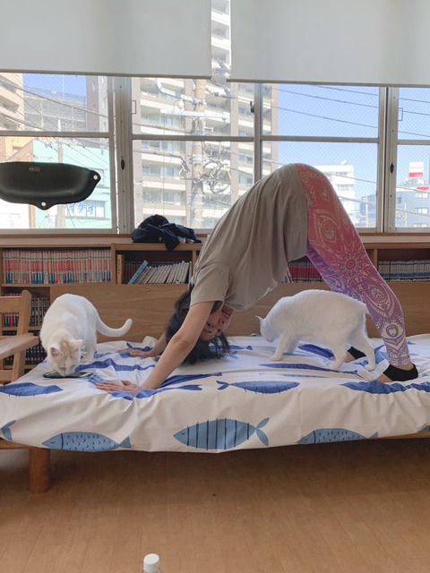 FE8F4303-58FF-43EA-A016-A563334159F4