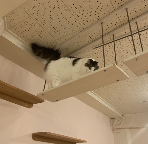 A60D8D0B-4FED-472C-B14D-F4B820479A48