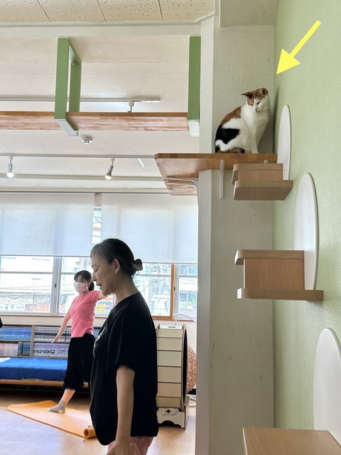 94384CEE-9002-4C5A-9ACF-D4A920044323