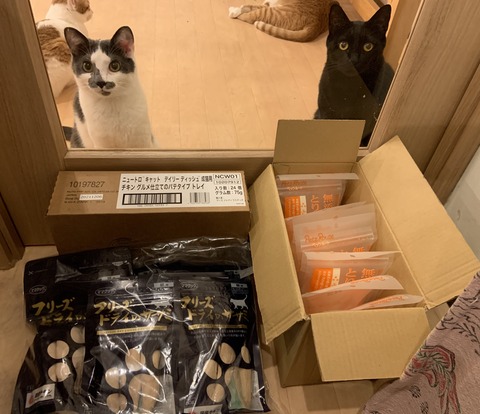 97521639-C146-4F6A-8648-EC7B4B3F78F5