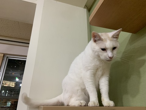 4509696D-EAE6-4A7F-811F-43186751F8DF