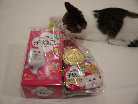 猫式ブログ~里親募集型猫カフェ