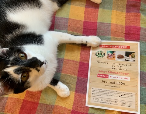 16CEF2DE-C85E-4841-8263-9A7D335ACAC3