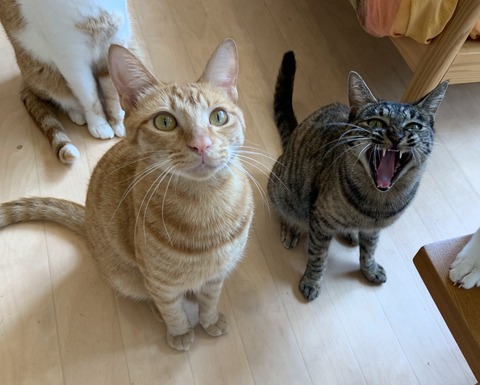 82D87060-C4C2-4AA9-98B2-A382A81C262A