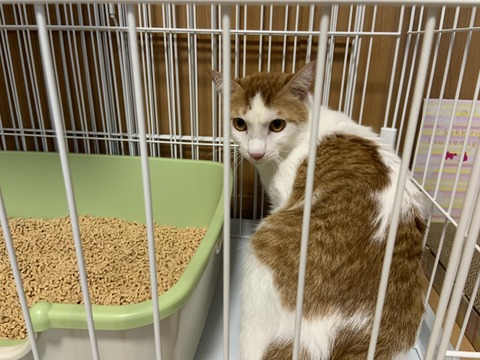 F5E8C31D-BB6D-4E6E-A7AD-924B4D34B152