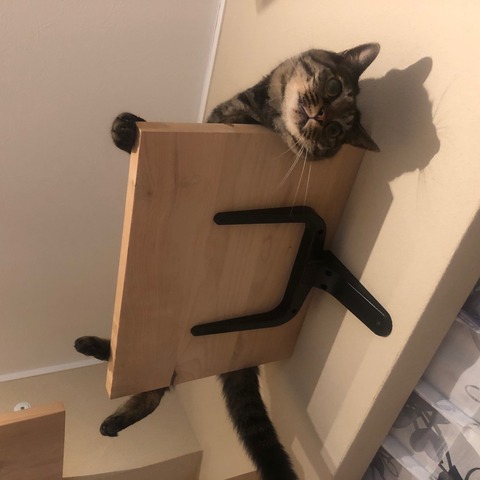 5EA8B44A-17CB-4ADF-96DA-0733C8F483EF