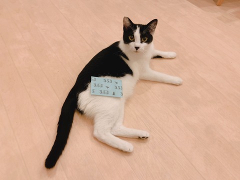 AF3E59E8-B330-46D7-8017-D67FC01141D9