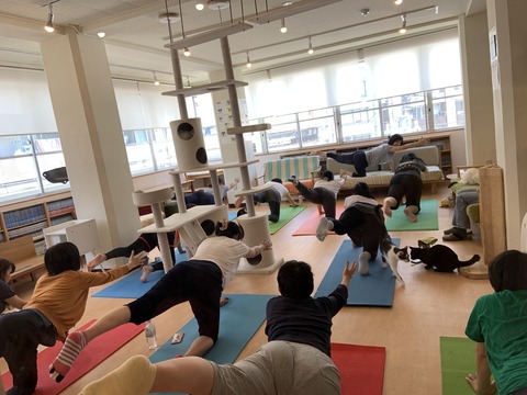 36EC0755-CAF4-40A2-AD25-F9313D06ADA9