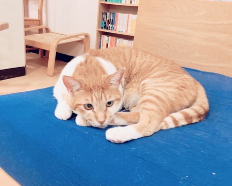 894D6B7B-015E-4ADB-8D07-452817C4BD73