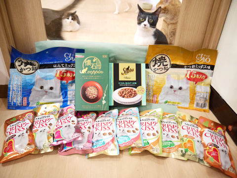 猫式ブログ~里親募集型猫カフェ