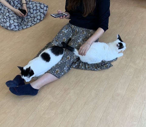 91A81A98-F2AA-443A-ABBE-BBC3A6CA46C7