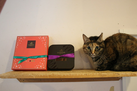 2018クリプレ_ゆかぽんさん3