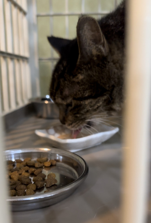 D57830AE-0DC8-40A8-8CC9-50B05B5349E1