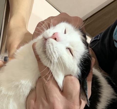 220CBBD7-AB2E-47C3-82D5-5F3A7E757975