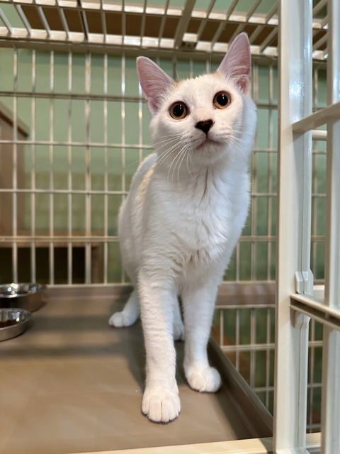 2F44074F-BBB1-4E8B-B0B2-802A6B9AF265