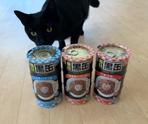 7B4EBDD1-76C3-48E7-B6D5-C46F99CAA4C8