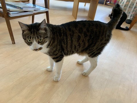 6FEB572C-F492-43E8-B9FF-05E36ED06A65