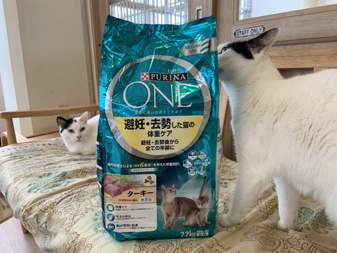 B38EEEB0-C6C4-4634-B8D1-8C79F26FE139