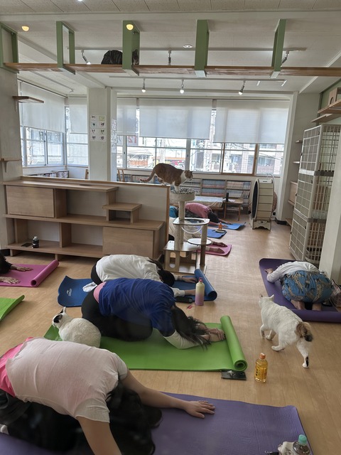 110B975A-9CFE-4EB1-88A5-B0A46B76E3DF