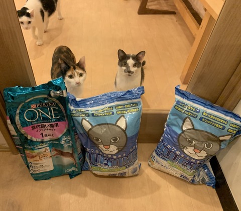 22AAB328-246A-4C9E-850F-7964854B9D79