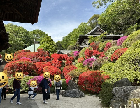 FB92545F-8070-4AE1-9396-965E5A5117F3