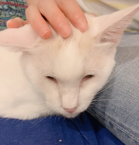 2FD8A81E-5116-45E0-BDFE-A3CFA244E1FD