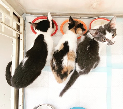 2292AA23-5EF9-4383-80EF-8A1AD8F18FA8