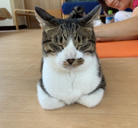 AD317BE4-B44D-4176-8682-0E77BE6BD2C2