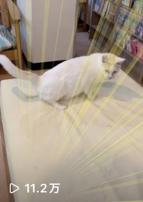 49D38451-F3F2-48C0-AAF0-FCF343DA9609