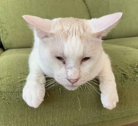 C445D81B-B04C-4112-B50F-81F63FC82A5D