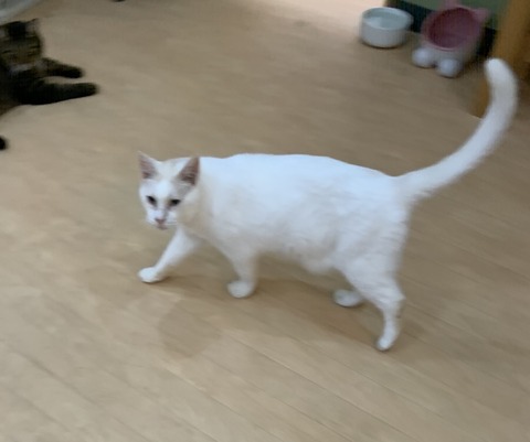 DBCD2DC9-7D28-4628-B215-72B5FFA96D8A