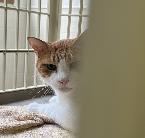 50107AE6-7BE1-482C-A94B-B4B7865EC25E