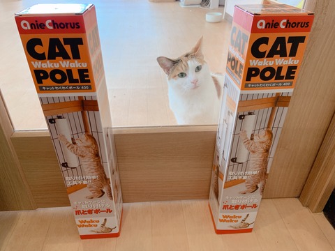 2788BDDA-C950-463D-8827-905DC8811588