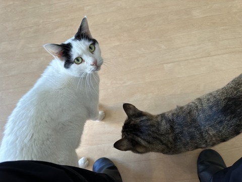 C904D301-3AA8-45EB-A7E9-340C33FA5072